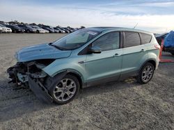 Ford Escape sel Vehiculos salvage en venta: 2013 Ford Escape SEL