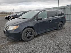 Salvage cars for sale from Copart Ottawa, ON: 2012 Honda Odyssey LX