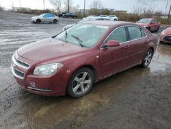 Chevrolet salvage cars for sale: 2008 Chevrolet Malibu 2LT