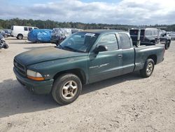 Dodge Dakota salvage cars for sale: 1999 Dodge Dakota