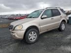 2005 Mercedes-Benz Ml 500