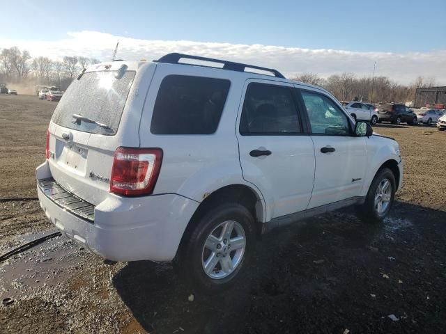 2009 Ford Escape Hybrid