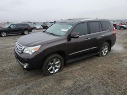 Lexus gx salvage cars for sale: 2012 Lexus GX 460 Premium