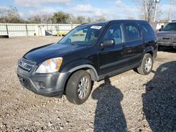 Honda crv salvage cars for sale: 2005 Honda CR-V EX