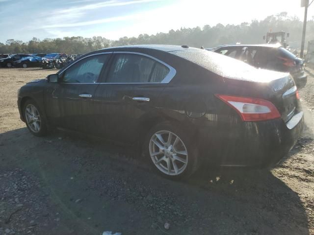 2011 Nissan Maxima S