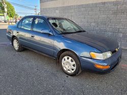 Toyota Corolla salvage cars for sale: 1993 Toyota Corolla LE