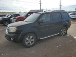 Honda Pilot salvage cars for sale: 2009 Honda Pilot EXL