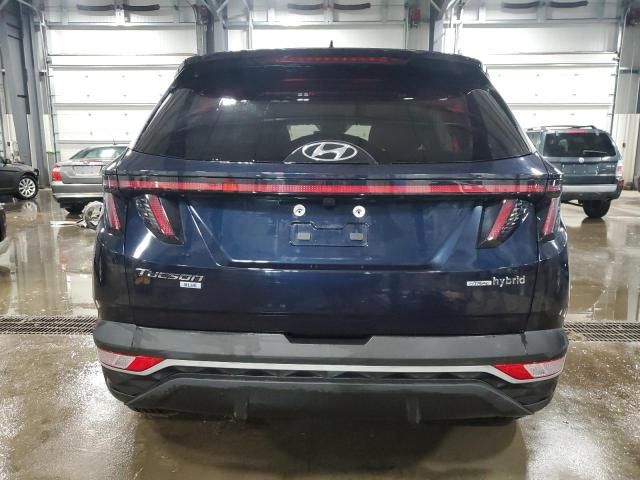 2022 Hyundai Tucson Blue