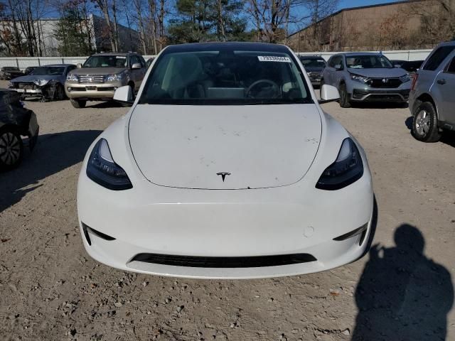 2021 Tesla Model Y