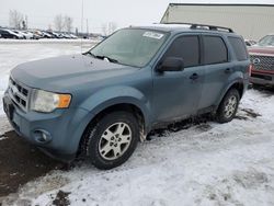 2011 Ford Escape XLT en venta en Rocky View County, AB