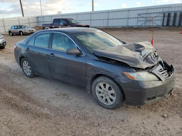 2009 Toyota Camry Hybrid