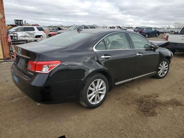 2010 Lexus ES 350