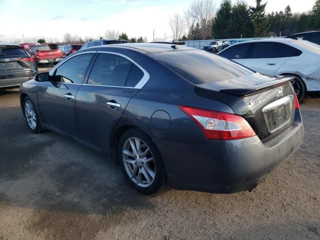 2009 Nissan Maxima S