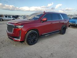 Cadillac Escalade salvage cars for sale: 2023 Cadillac Escalade ESV Premium Luxury