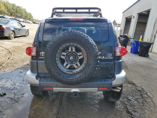 2007 Toyota FJ Cruiser