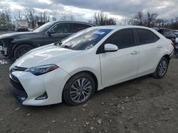 Toyota Corolla salvage cars for sale: 2019 Toyota Corolla L