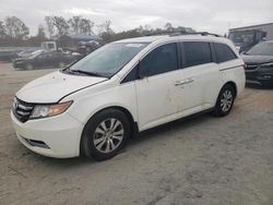 Honda Odyssey salvage cars for sale: 2016 Honda Odyssey SE