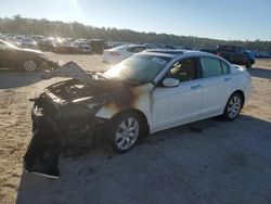 Honda salvage cars for sale: 2010 Honda Accord EXL