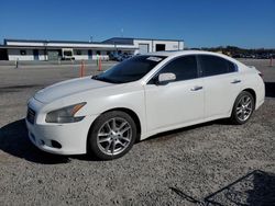 Nissan Maxima Vehiculos salvage en venta: 2010 Nissan Maxima S