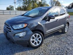 Ford Ecosport salvage cars for sale: 2019 Ford Ecosport SE