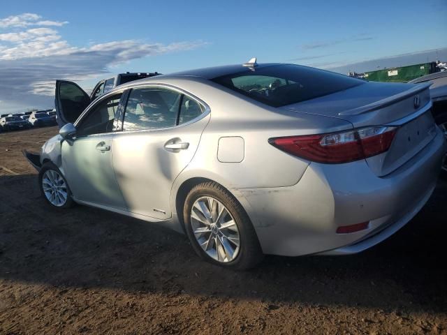 2014 Lexus ES 300H