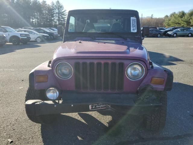 1997 Jeep Wrangler / TJ Sport