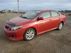 Toyota Corolla salvage cars for sale: 2009 Toyota Corolla Base