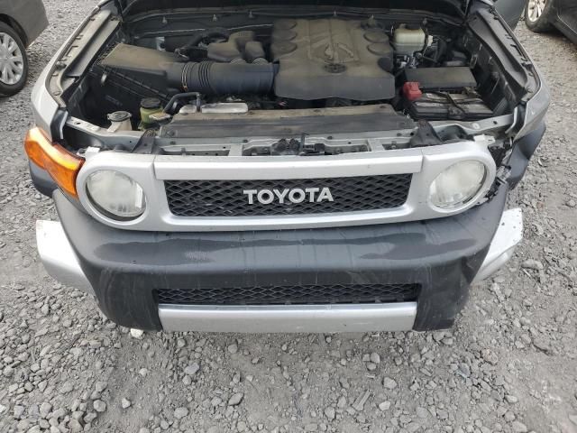 2010 Toyota FJ Cruiser