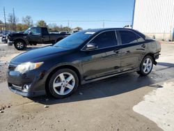 Toyota Camry Vehiculos salvage en venta: 2013 Toyota Camry L