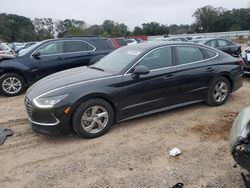 Hyundai Sonata salvage cars for sale: 2021 Hyundai Sonata SE