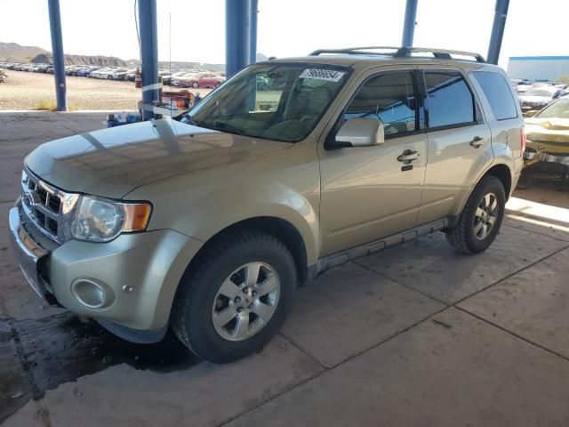 2011 Ford Escape Limited