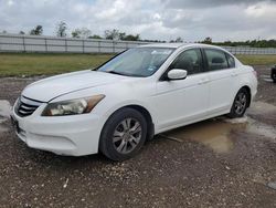 Honda Accord salvage cars for sale: 2011 Honda Accord SE