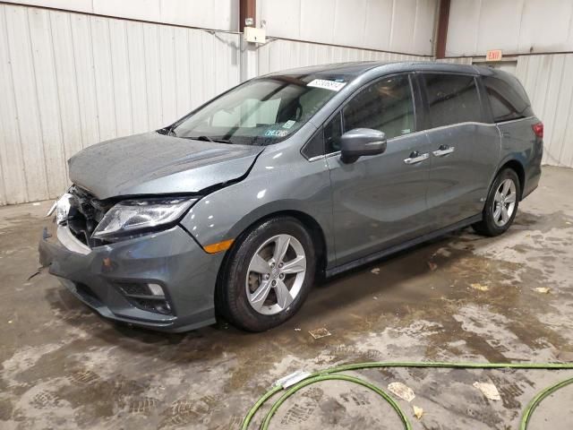 2019 Honda Odyssey EXL