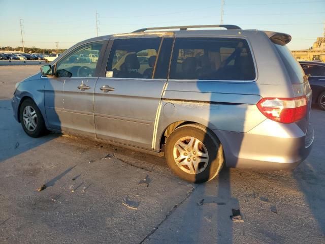 2005 Honda Odyssey EXL