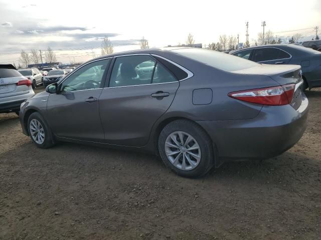 2015 Toyota Camry Hybrid