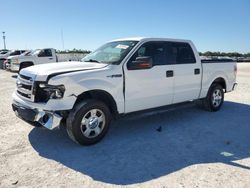 2014 Ford F150 Supercrew for sale in Arcadia, FL