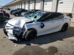 Toyota Camry salvage cars for sale: 2019 Toyota Camry XSE