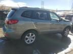 2007 Hyundai Santa FE SE