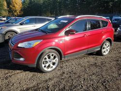 Ford Escape salvage cars for sale: 2014 Ford Escape Titanium