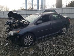 Toyota Corolla salvage cars for sale: 2010 Toyota Corolla Base