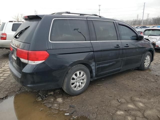 2008 Honda Odyssey EXL