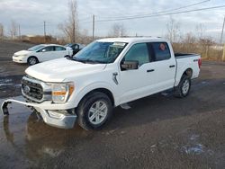 Ford f-150 salvage cars for sale: 2022 Ford F150 Supercrew