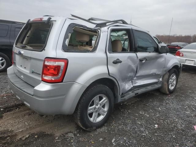 2011 Ford Escape Hybrid