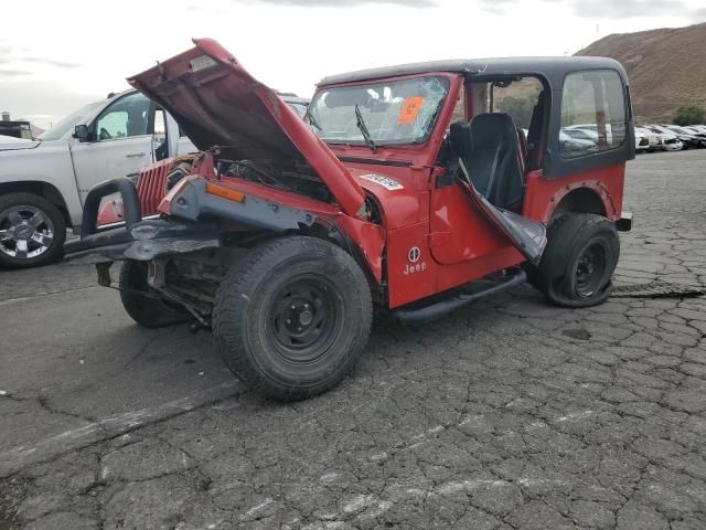 1995 Jeep Wrangler / YJ S