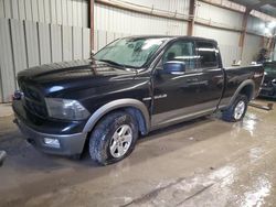 Dodge Vehiculos salvage en venta: 2010 Dodge RAM 1500