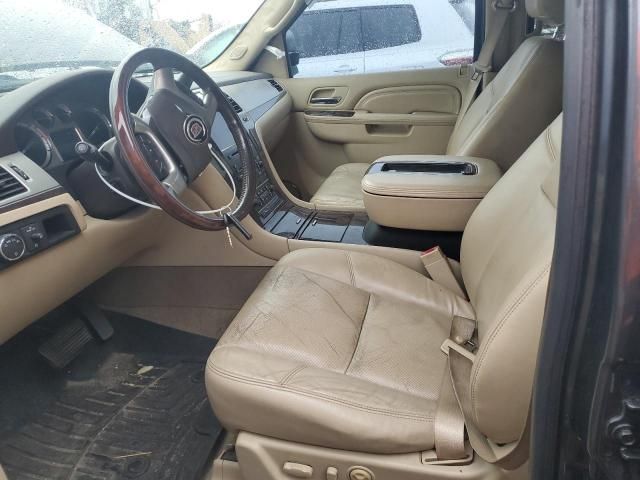 2010 Cadillac Escalade Luxury