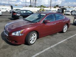 Nissan Maxima salvage cars for sale: 2013 Nissan Maxima S