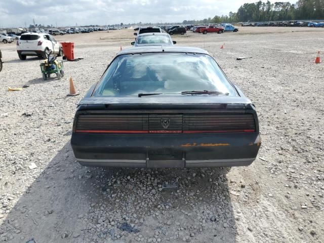 1982 Pontiac Firebird SE