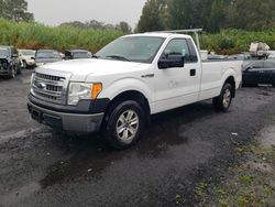 Ford f150 salvage cars for sale: 2013 Ford F150