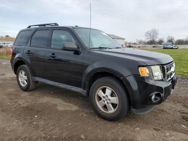 2010 Ford Escape XLT